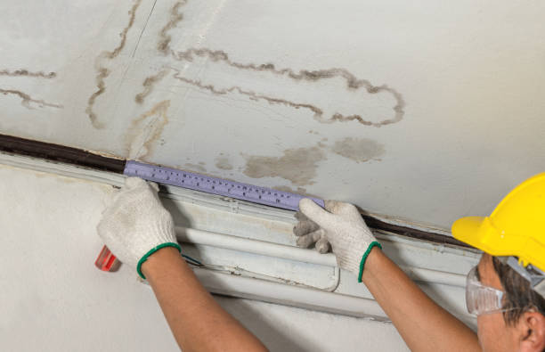 Reliable Water Damage contractor in Lake Hiawatha, NJ by Water Damage Irwin